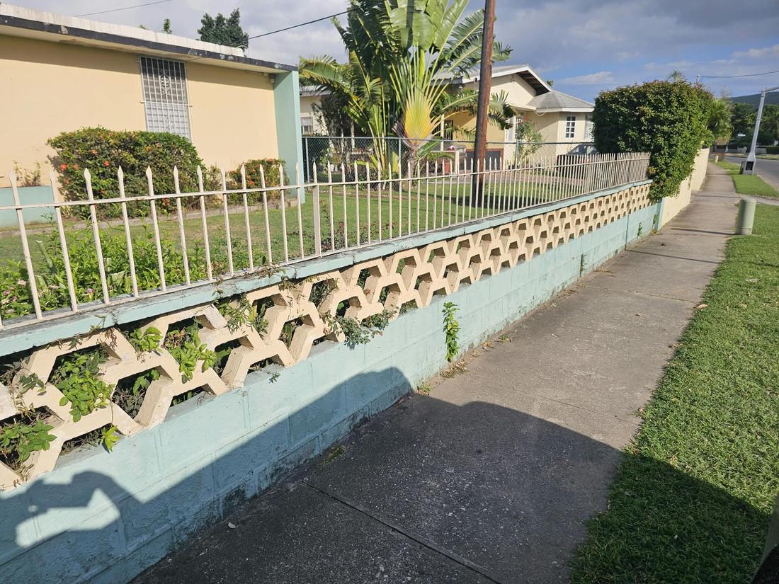 Boundary wall and fence upkeep